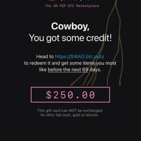 250$ STORE CREDITS